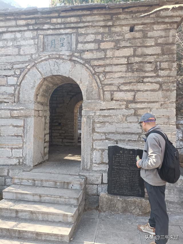 无为在歧路，免费仰天山