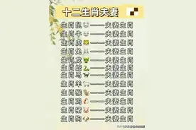 十二生肖夫妻图片