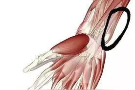 手腕一条“筋”，揉开帮助缓解失眠！​图片