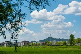 2025年农村户口新政，一文解读迁回条件、成员认定和宅基地红线图片