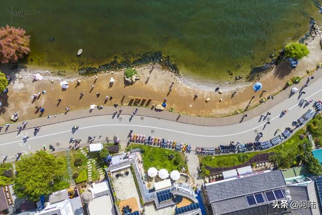 龙龛码头太有名,每天有很多人过来拍婚纱,但他们却不知道夫妻树