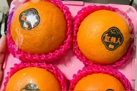 爱媛38、红美人都是同一个品种，只因产地不同，价格竟相差几倍？图片