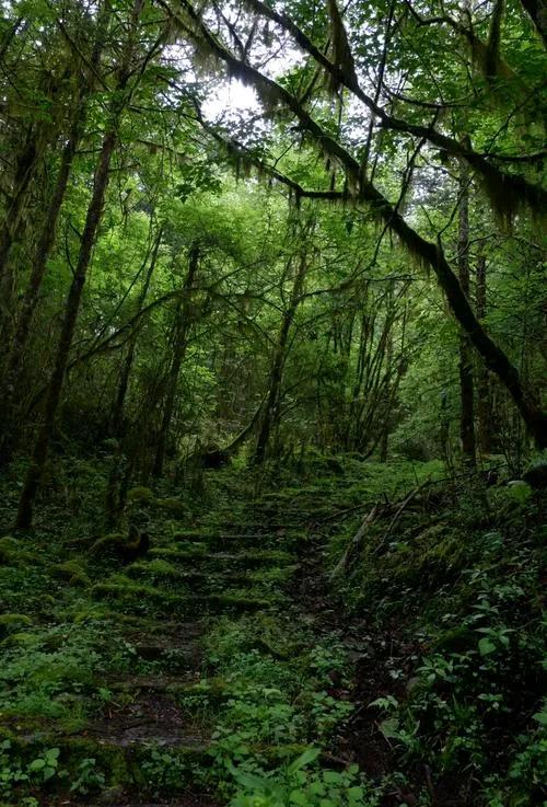 接上 第四章:山水秘境—自然造物的奇幻剧场