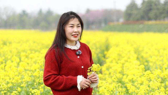 大汶口镇：油菜花开“金”满地 馨香四溢沁心脾