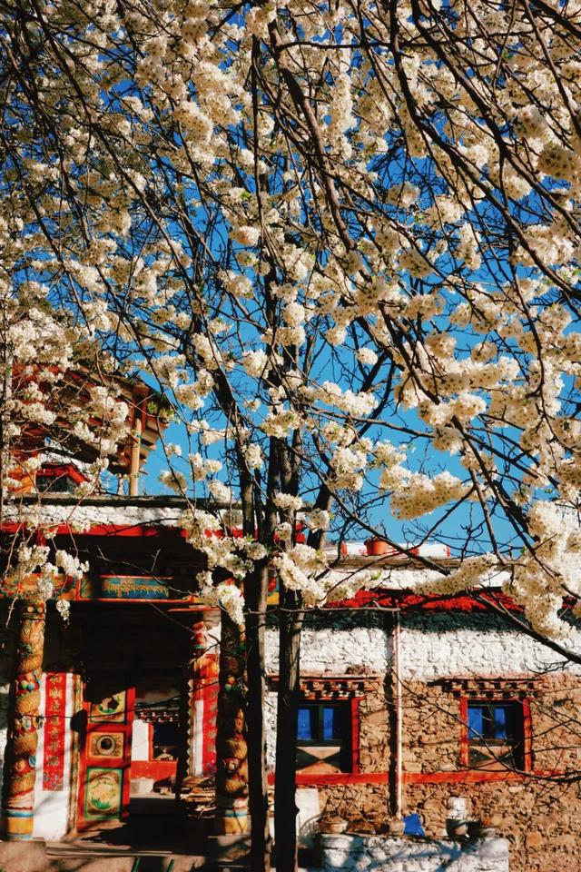 3 月旅行地推荐！这17 个地方春暖花开美到不像话，第一个直接心动