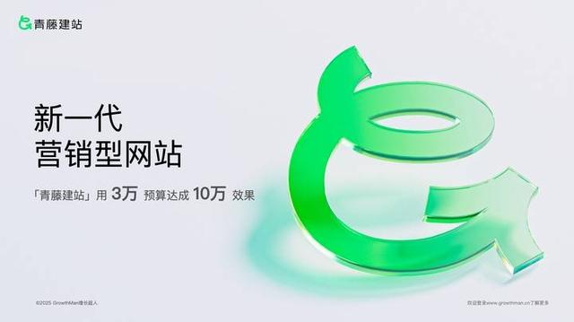 2025年国内网站搭建公司排名口碑榜揭晓！覆盖全行业建站需求，助您精准选对服务商