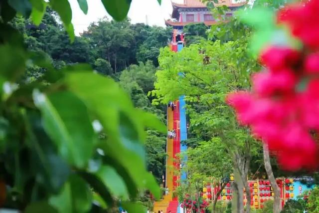 走,一起上春山!清明假期出发观音山,花神约您来见~