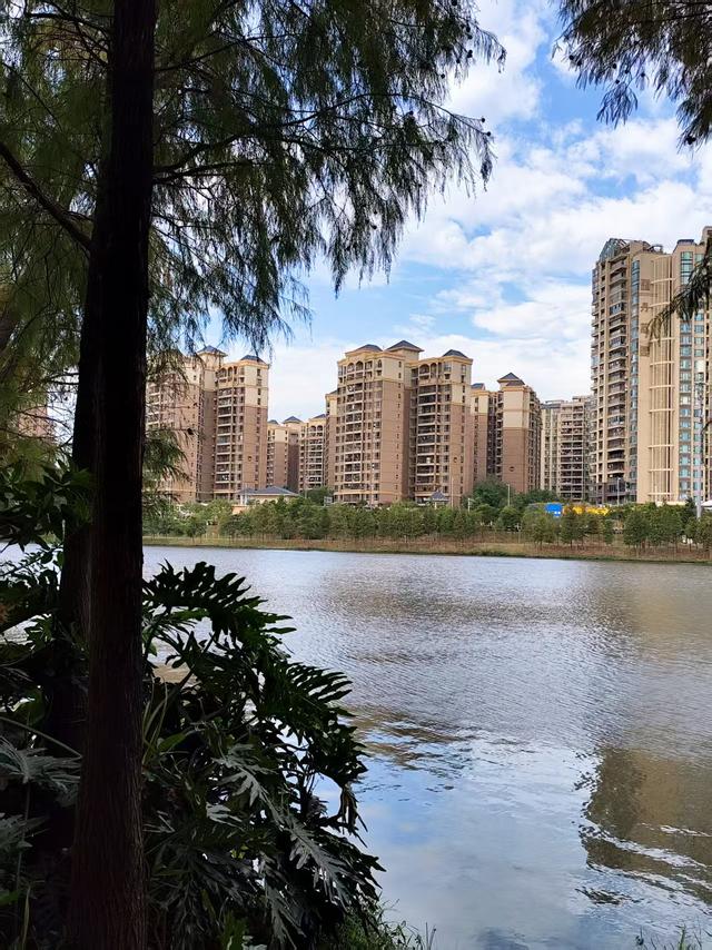 岭南日记（四）