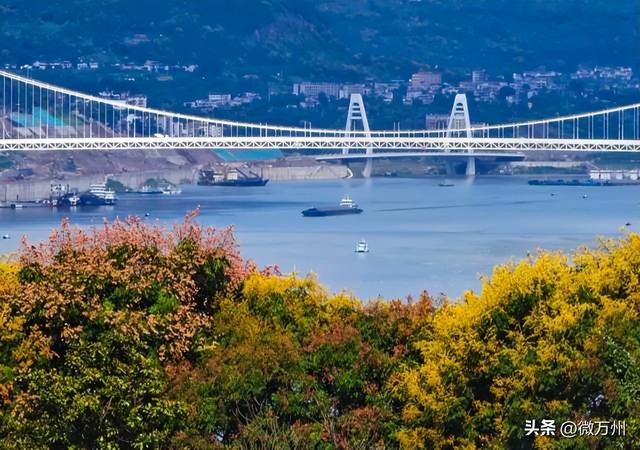 变了！变了！南山公园、新城路、都历山、天生城……