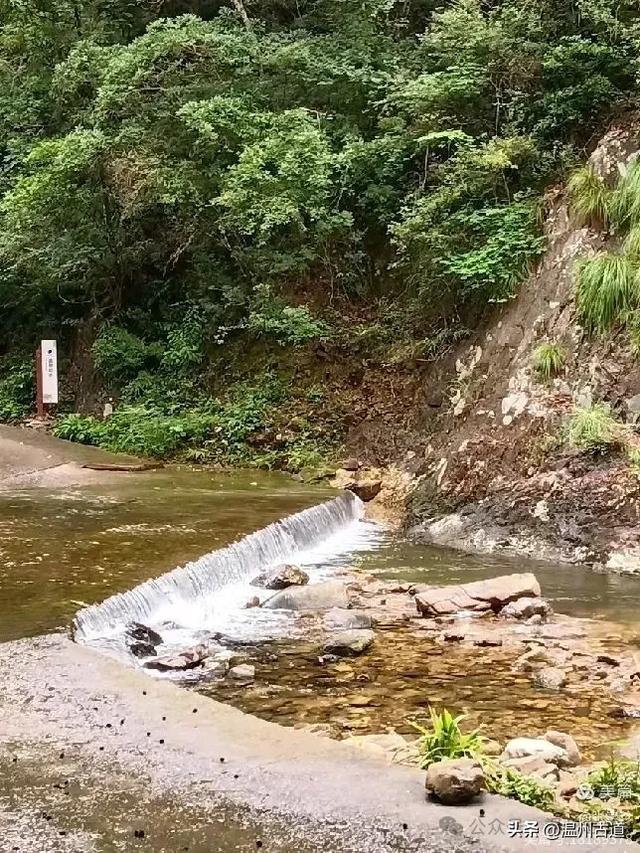 探秘雁荡三绝之一的绝美风光！来一次深度游~