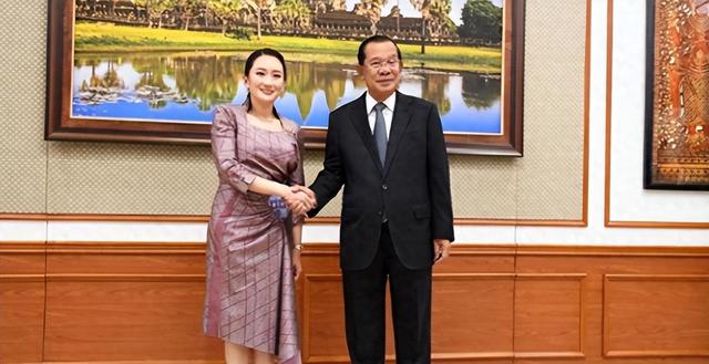 大反转？泰国法院判决结果出炉，佩通坦被解除职务！反对派与军方联手，下届泰总理呼之欲出