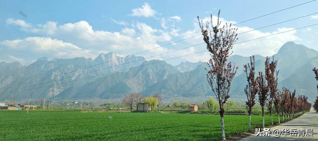 破局“华山依赖”，华阴旅游经济的突围与新生之路何在？