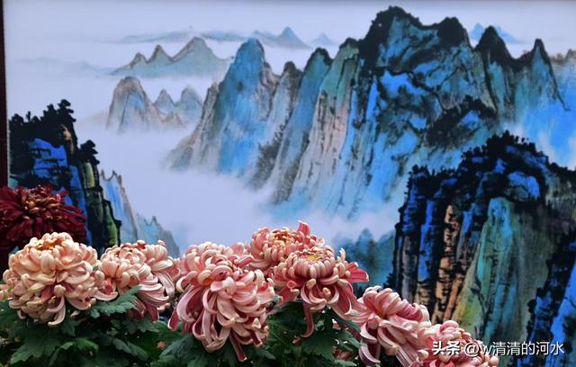 菊花是秋天里美丽的图画