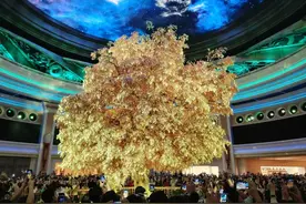 港澳深德扑游图片