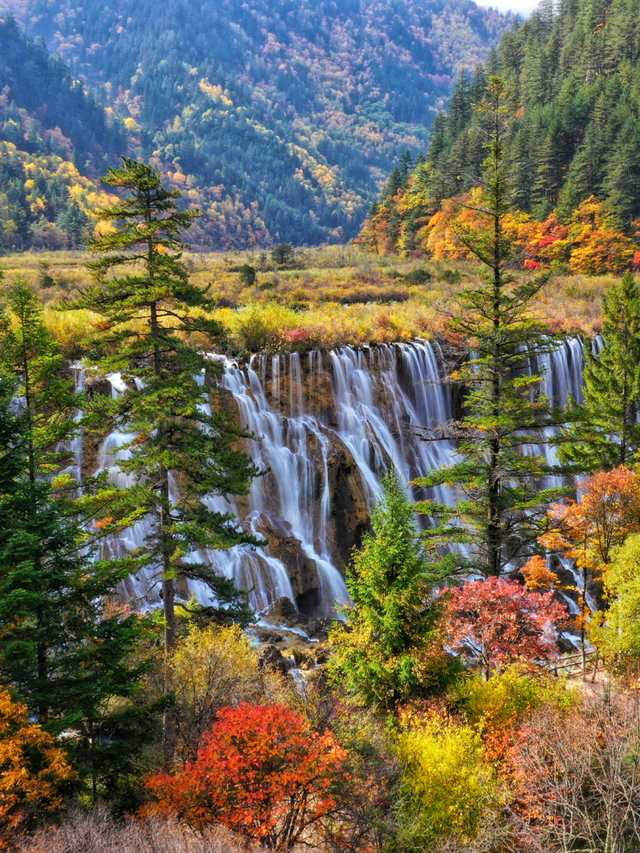 九寨沟十一月的开场，是落叶纷飞染透山川，是彩林叠翠映雪山