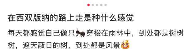 这可能是我买过的最离谱的特产：