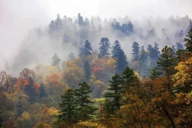 雨幕中的官鹅沟：一场双向奔赴的秋日之约