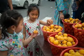 一千个人心中有一千种吴中枇杷图片