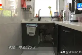 【冀时帮·律师帮帮团】小吴接到办｜石家庄灵寿：管道反水家被淹 损失该由谁承担图片