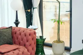 一小姐姐因“发财树客厅”走红，她说发财树原生少管才治愈， 爱了图片