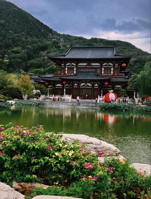 我是上海人，去西安华清池看千年唐槐，逛莲花汤听历史故事