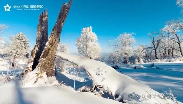 冬游徐水|好吃好看好游好玩等你来！