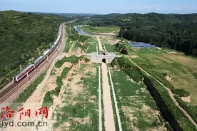 丝绸之路（洛阳段）申遗成功十周年大事记图片