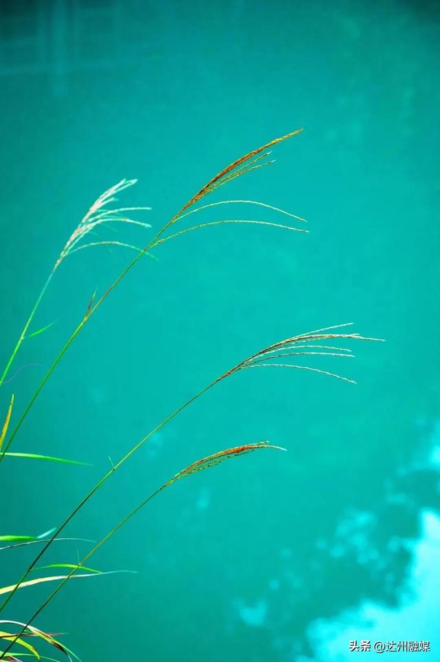 渠县賨人谷的秋天“水”醒啦，去解锁川东小九寨！