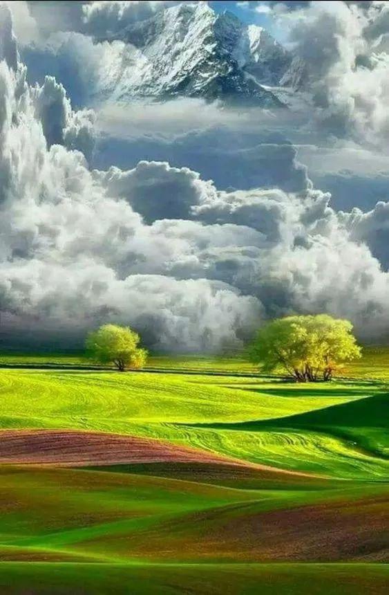 醉人的风景，总是让人心旷神怡