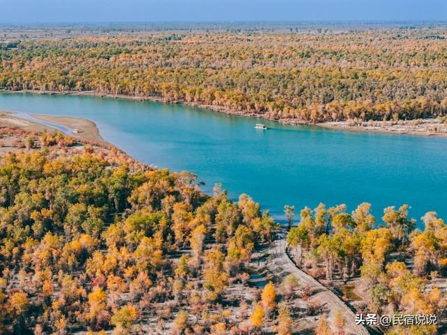 470万亩胡杨林带你秋游大美新疆