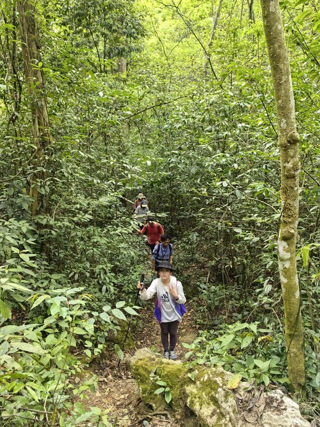 带小朋友去贵州茂兰,连环探洞加漏斗原始森林徒步二日游全攻略!