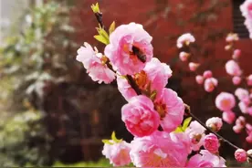 一换季就过敏打喷嚏？“抗敏三剑客”，把过敏原“赶”出体外！图片