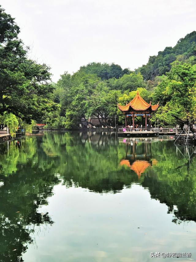 拥抱春天的绿水青山