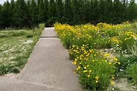 高中生无人陪读能不走读绝不走读，弊大于利，不自律的孩很难管控图片