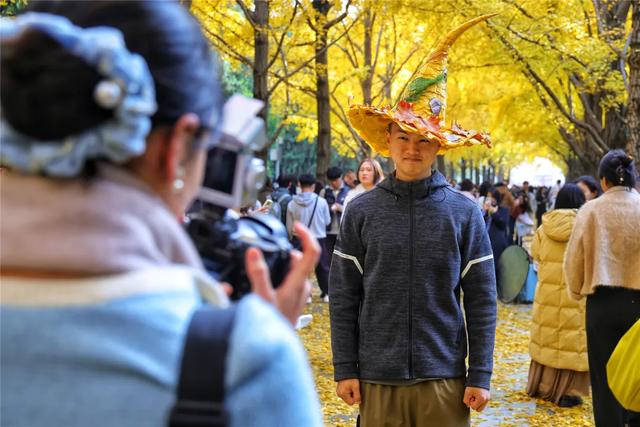 别急,地坛秋色还在!银杏节持续至本周末→