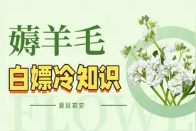 赶紧薅，银行的羊毛，别怪我没告诉你！！！图片