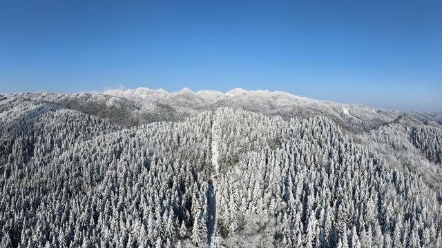 湖北恩施：雪后初霁 鄂西林海换银装