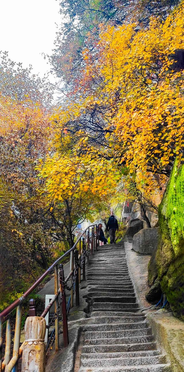 魂牵梦萦，我登上思念已久的华山.......