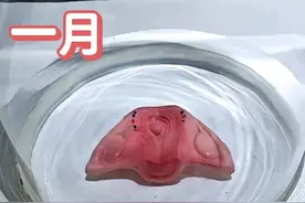 怀孕十月，胎儿是怎么成长的？一组3D图带领你体会生命的奥秘图片