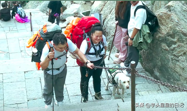 带导盲犬爬山后续：女主渴望被理解，坦言自己没错，澄清不是夫妻