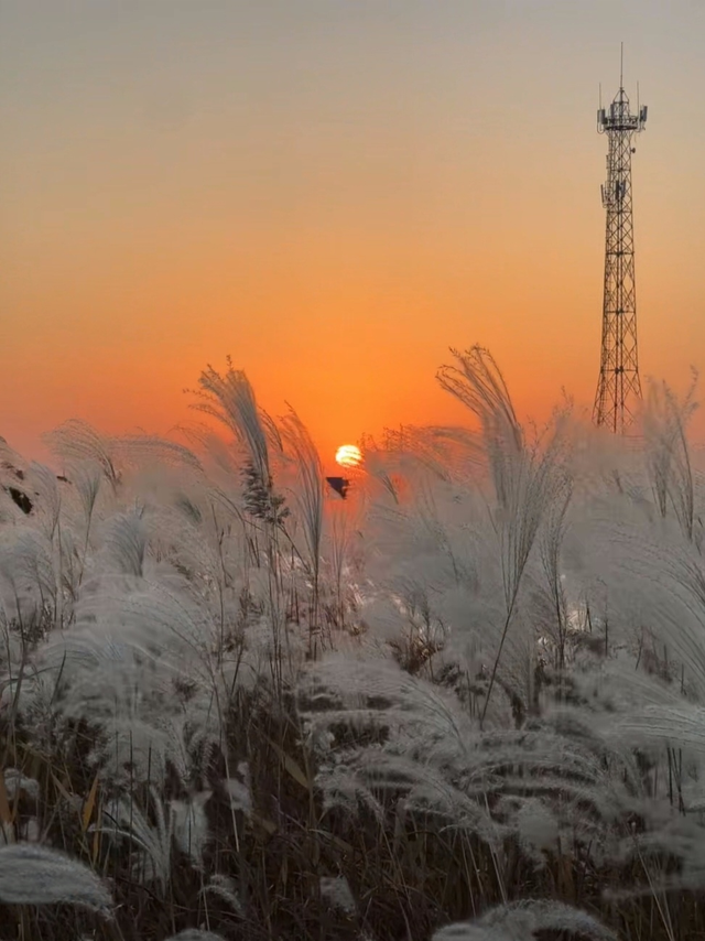 听说东营竟然“下雪”了？？？