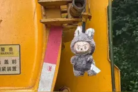 大爷捡到隐藏款Labubu挂吸粪车！99被买走发现是正品图片