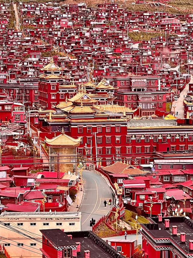 甘孜四月天，一半是冰雪，一半是花海