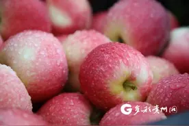 黔南州长顺县这条“苹果大道”已上线 总产值预计超5.7亿元图片