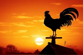 字解成语：牝鸡司晨，“牝”字思维中“匕”如何表达？图片