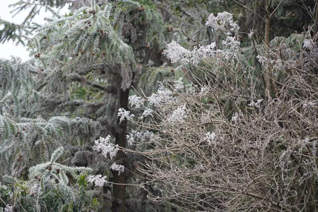 “云赏”怀集的冰雪世界