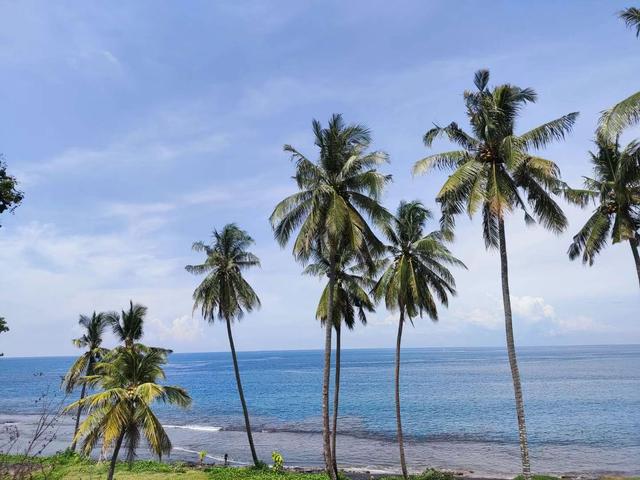 来去如风，骑着摩托穿越印尼爪哇岛乡村