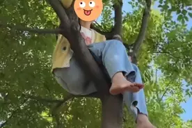 后续来了，远嫁女和老公吵架爬上树3天，小姑子哄下来后结局很好图片