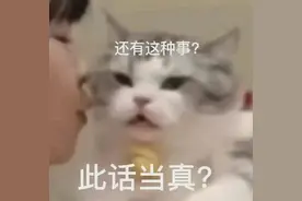 个人信息变化，驾驶证也要及时“更新”！图片