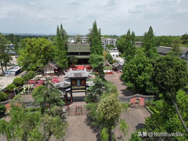 成都古镇（15）郫县唐昌古镇崇宁公园·大椿巷